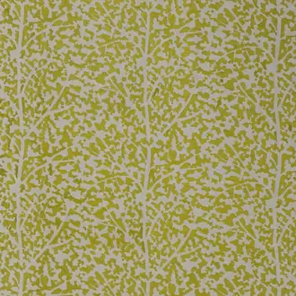 Mulberry Tree 3767-03