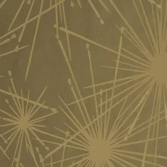 Fireworks W01065-04
