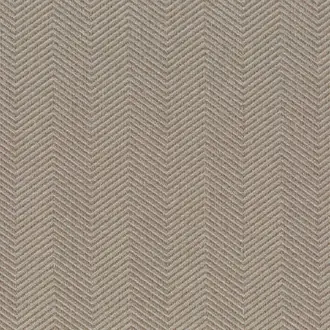 Shimmer JA6146-072