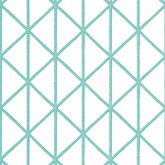 Box Kite T10132