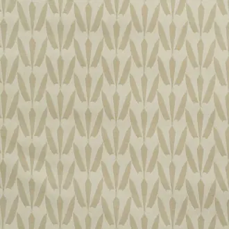Tulips JT013979-001