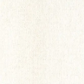 Canvas 10165