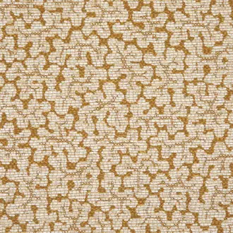Coraux 3237-02