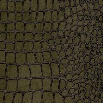 Vinyl Crocodile Rock 10845