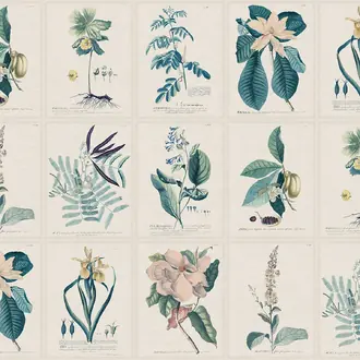 Flora S10589