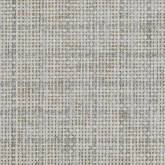 Graceful Grid 10479