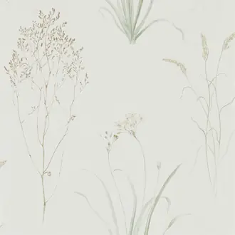 Farne Grasses 216488