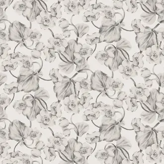 Anemone KEN301