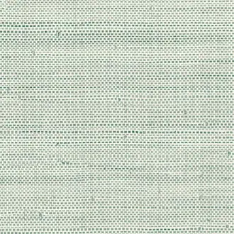 Arista 67956