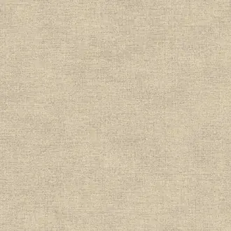 Canvas 313550
