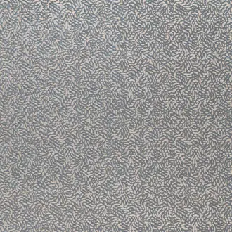 Dentella 132678