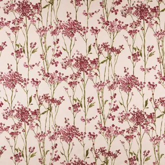 Hawthorn Cranberry