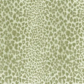 Bagatelle Weave NCF4223-02