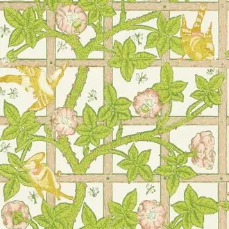 Trellis 217104