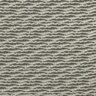 Torrent Fossil