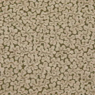 Coraux 3237-03