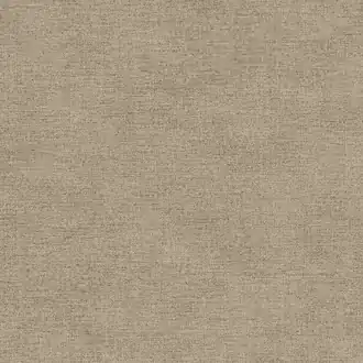 Canvas 313551