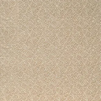 Dentella 132680