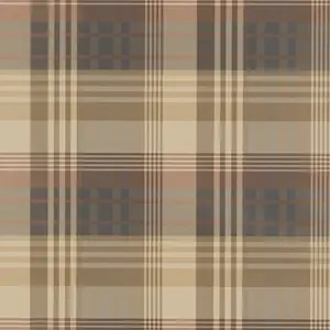 Mulberry Ancient Tartan FG079-V78