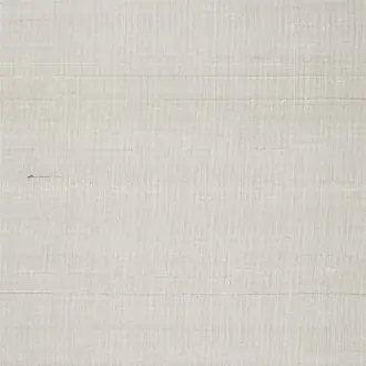 Chinon F1165-106