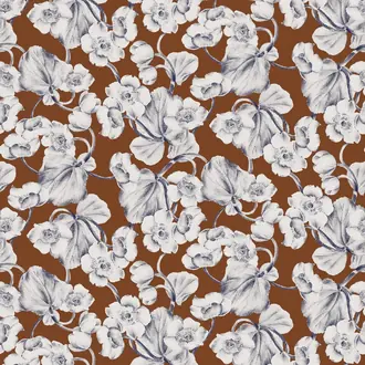 Anemone KEN304