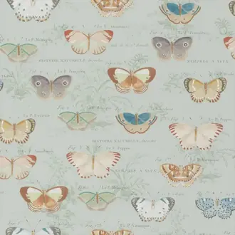 Butterfly Studies PJD6017-03