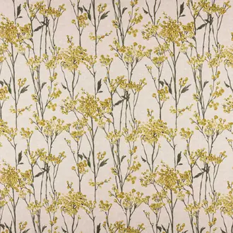 Hawthorn Maize