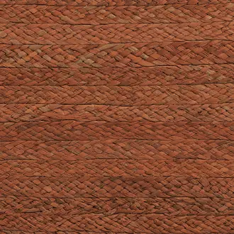 Braided Raffia 10370
