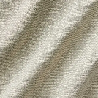 Terra Nova 21272891