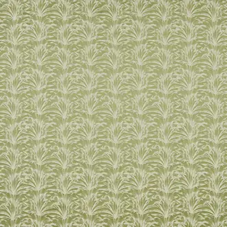 Caravelle Pistachio