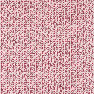 Rosehip 224485