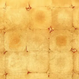 Rembrandt GV224