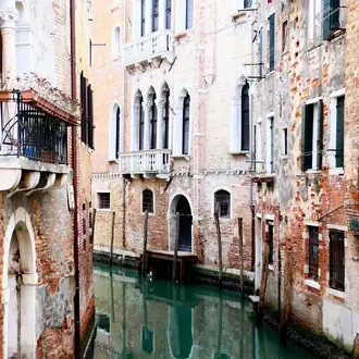 Venice R15191