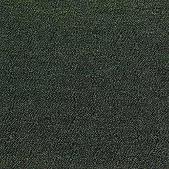 Abruzzes 12001639