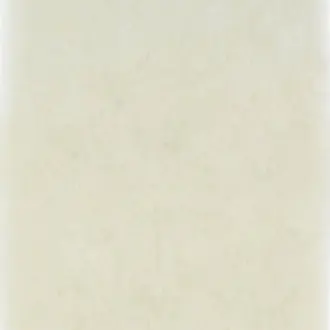 Ellora Champagne P559-02