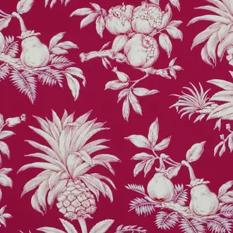 Dandy W4764001