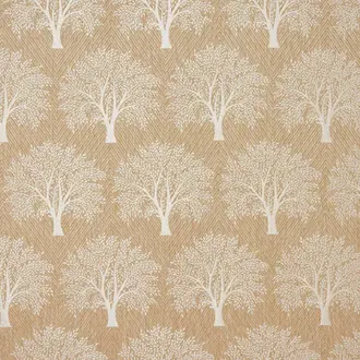 Levanto Oatmeal