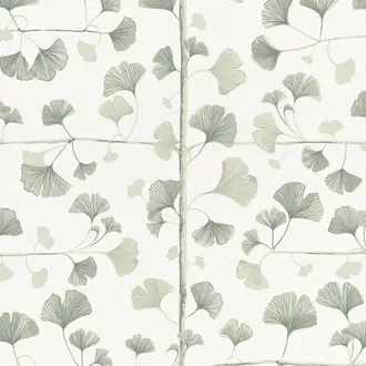 Ginkgo 803-18