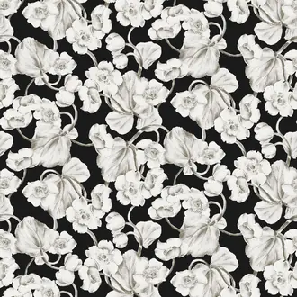 Anemone KEN305