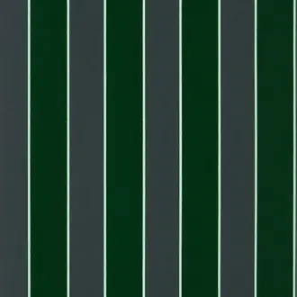 Regency Stripe W7780-01