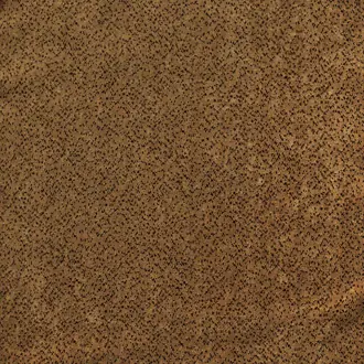 Velours Dalmatien 10565_35