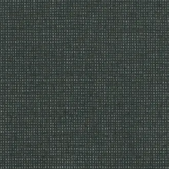 Canvas 10170