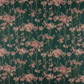 Hawthorn Peacock