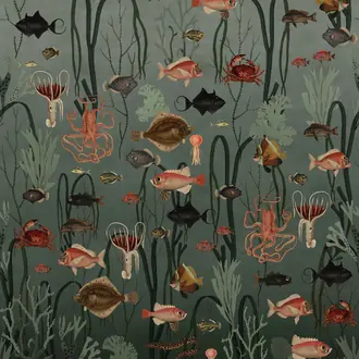 Aquatic Life R17141