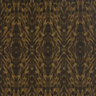 Tortoiseshell W01067-02