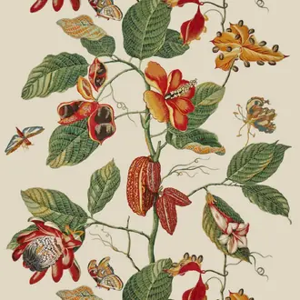 Nakai Broderie O7963001
