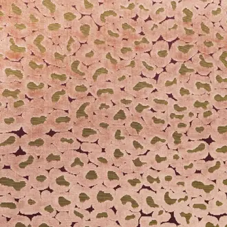 Petal Dust JT014044-004