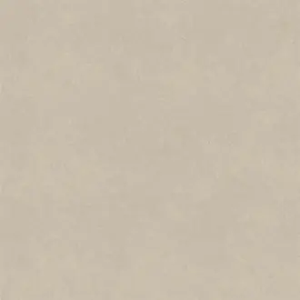 Topcoat FRL5279-01