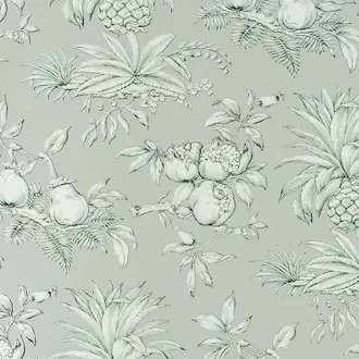 Dandy W4764006