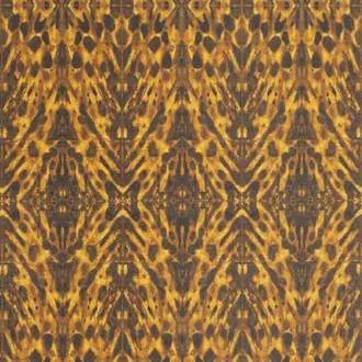 Tortoiseshell W01067-03
